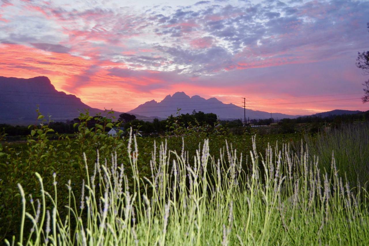 Heuwelsig Cottages Franschhoek Kültér fotó