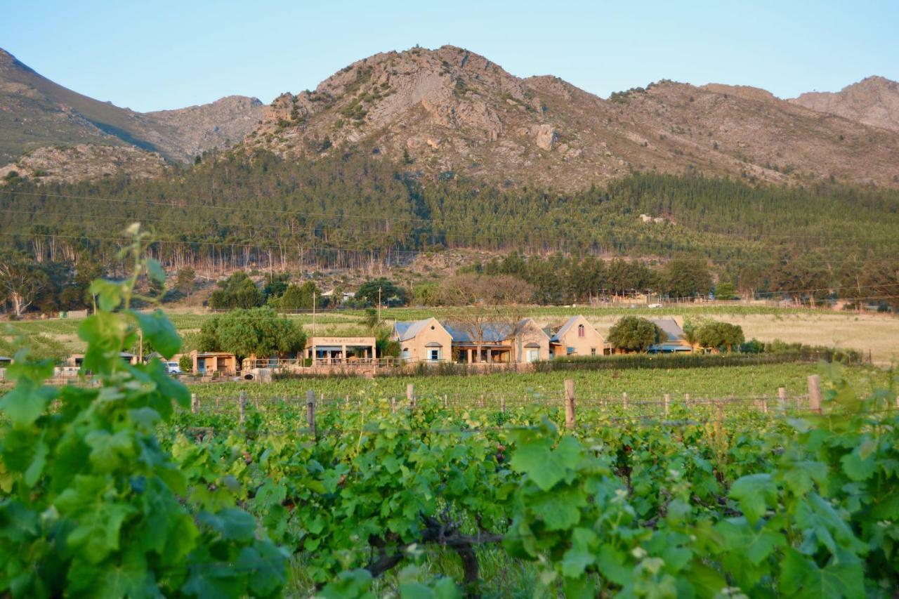Heuwelsig Cottages Franschhoek Kültér fotó